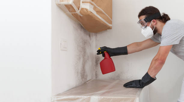 Professional Basement Mold Remediation technician working in Benson, MN